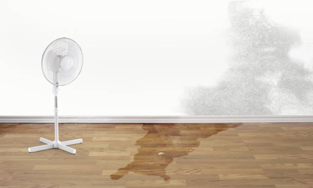 Best Water damage contractors near me  in Claypool, AZ