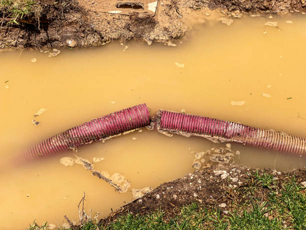 Best Flood damage cleanup  in Claypool, AZ