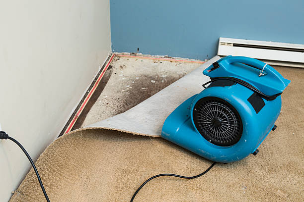 Best Mold removal after water damage  in Claypool, AZ